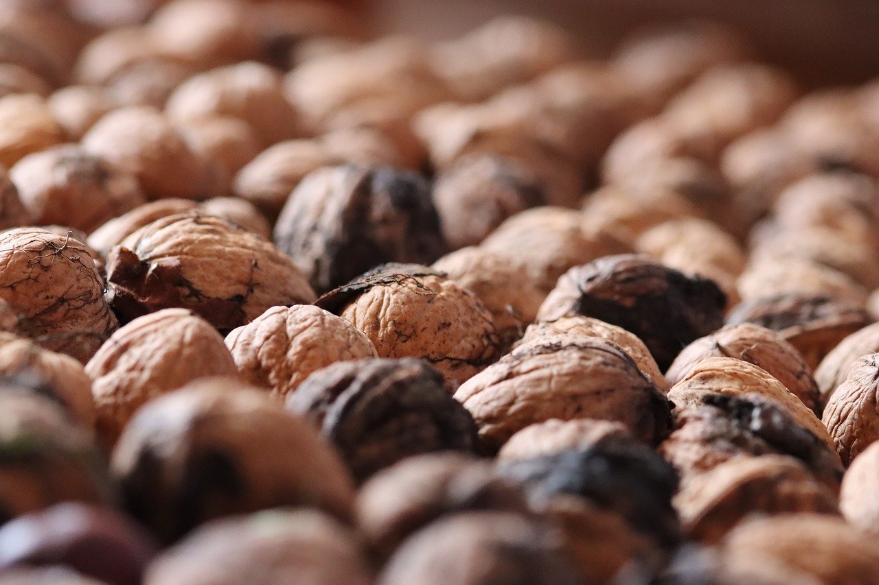 DDOS在线压力测试|zalo越南详情下载教程app