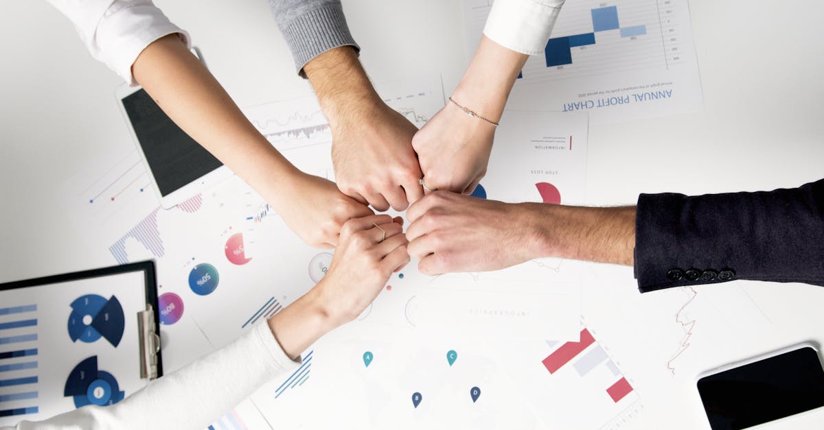 傲世皇朝，注册|代理医美贷款平台