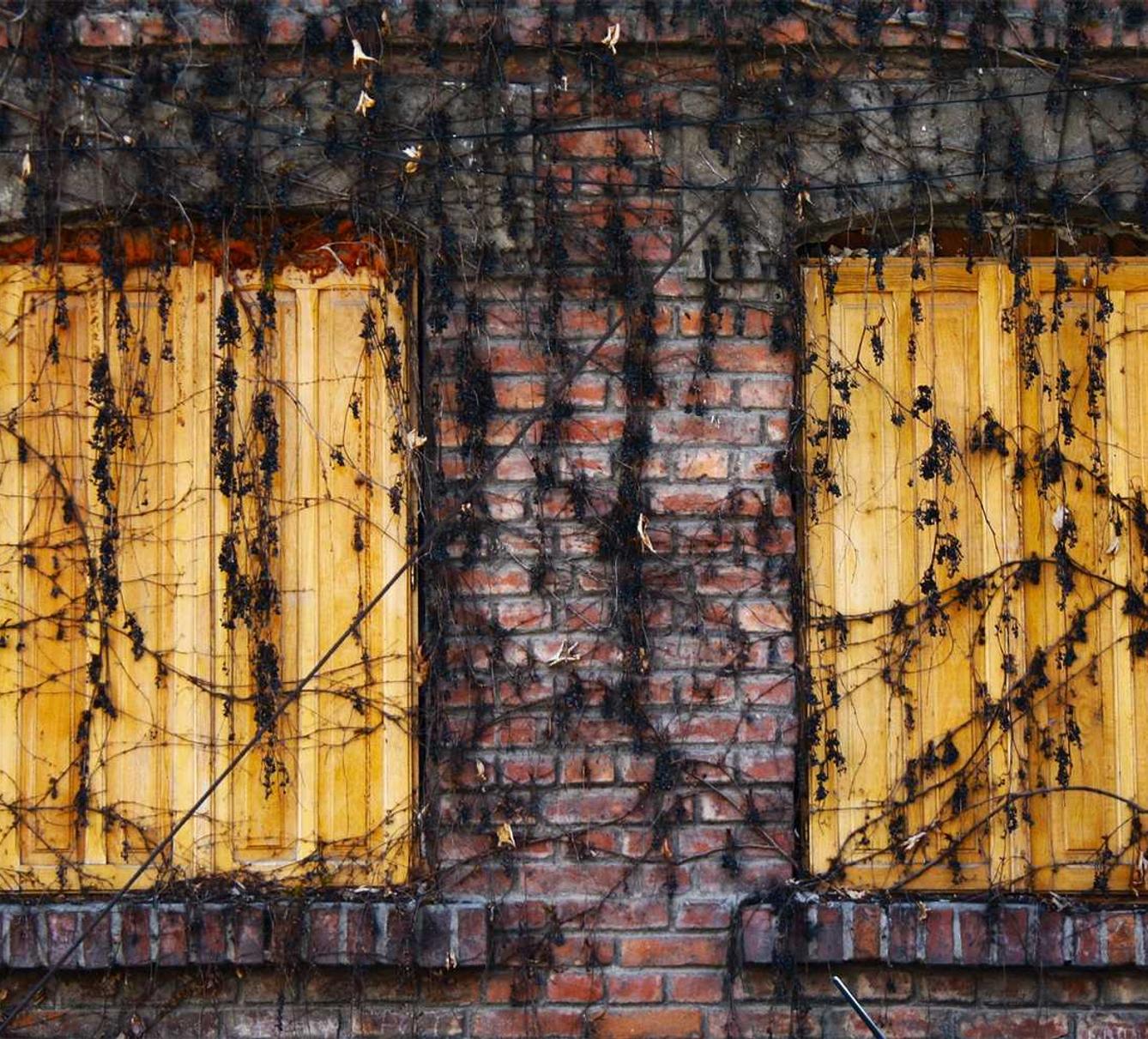 副卡实名账号：西藏配资开户平台