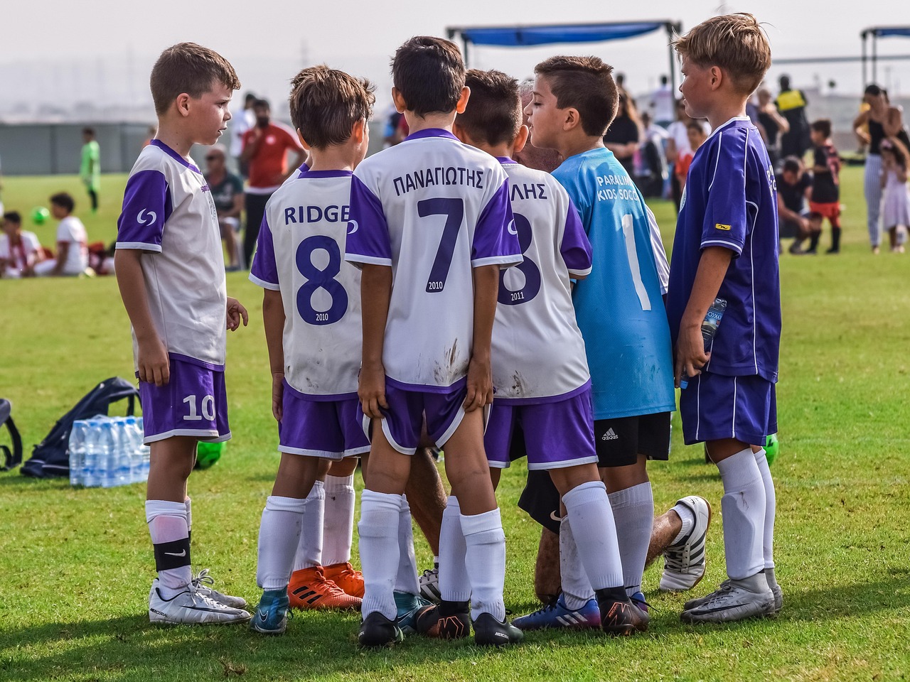 传奇永恒辅助- 阜阳家居代理选购平台