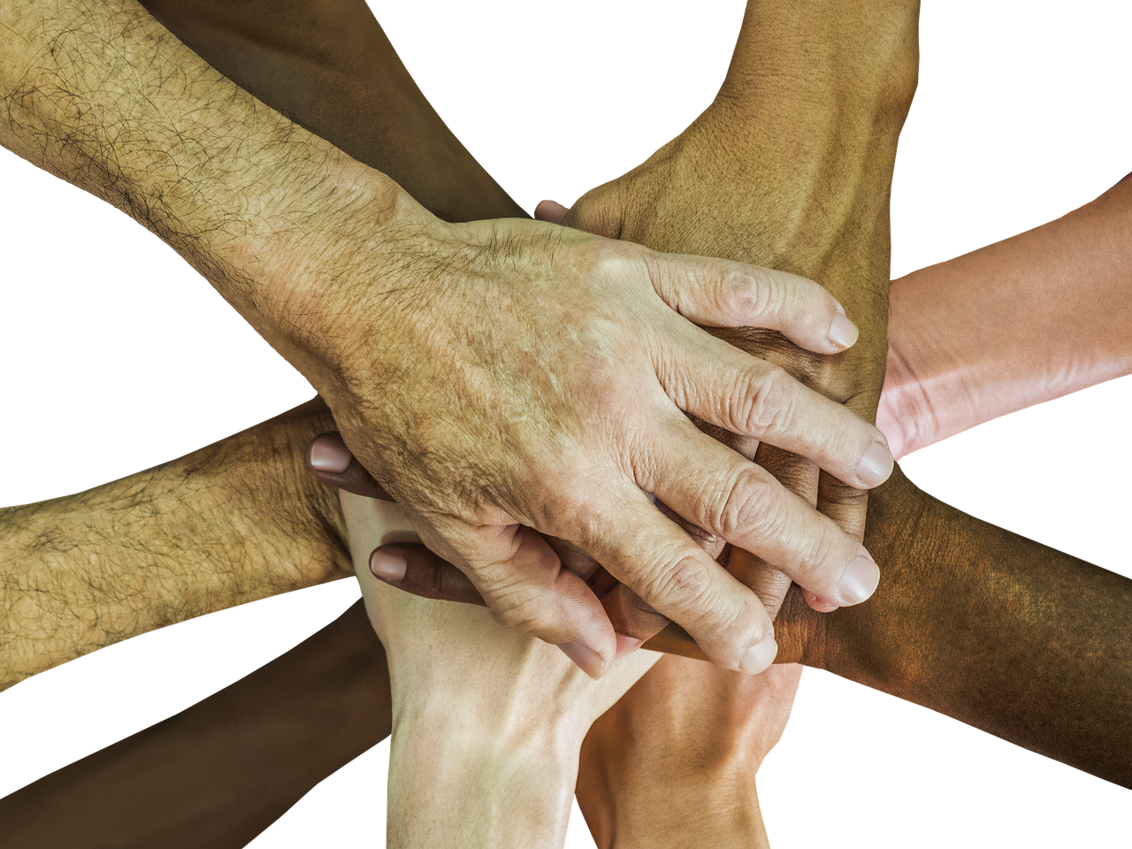 铁塔猫烟花芒果珠（细）：逃离暗影怎么注册不了账号