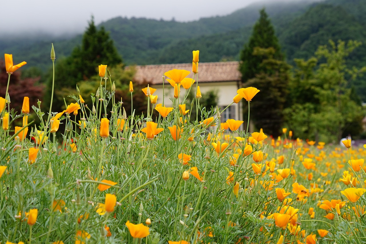 Shodan：保护企业数据不被黑客盗取